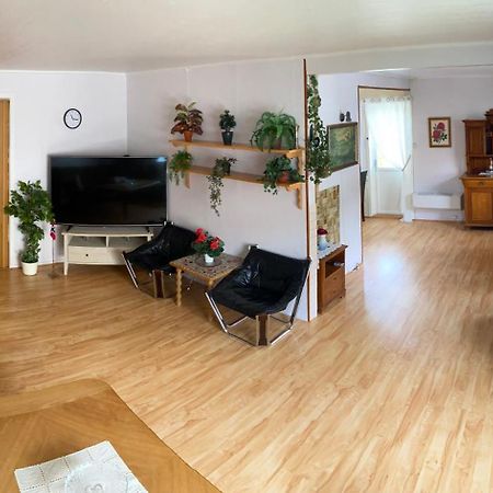 House Daire Gryllefjord Dış mekan fotoğraf