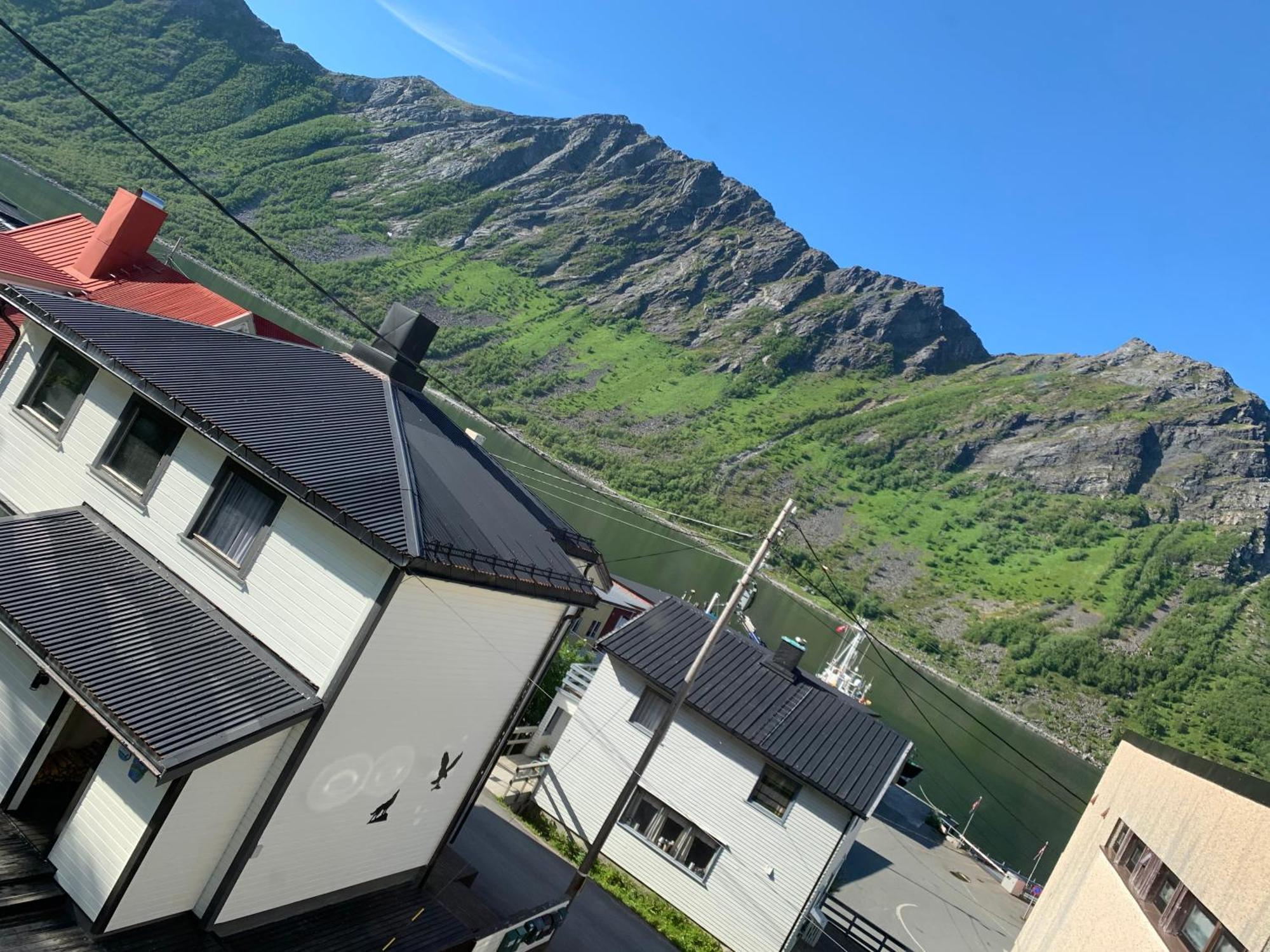 House Daire Gryllefjord Dış mekan fotoğraf