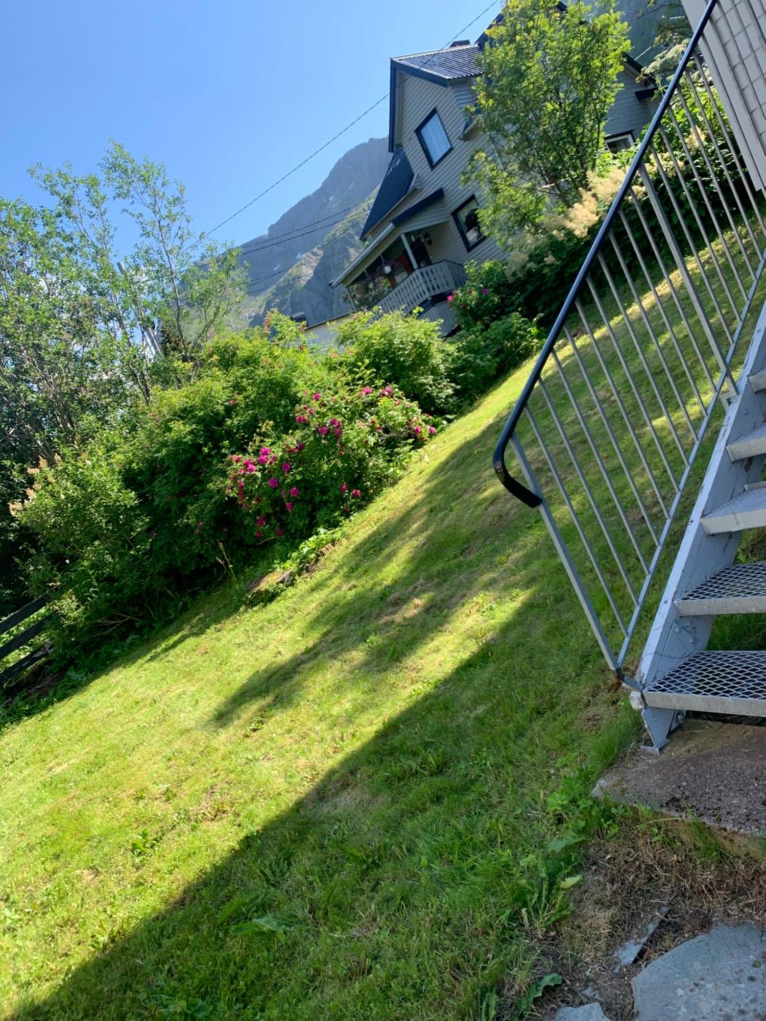 House Daire Gryllefjord Dış mekan fotoğraf